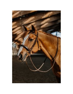 Bridon NORTON Hunter Fancy