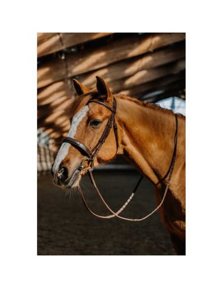 Bridon NORTON Hunter Fancy