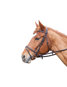 bridon-1er-prix-de-qualite-par-tdet 2