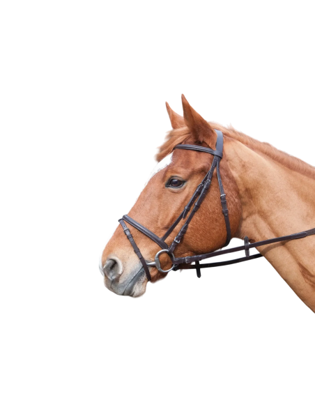 Brida Bellini de TdeT