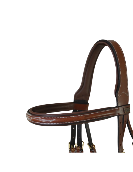 TdeT Bridon cuir Kessel