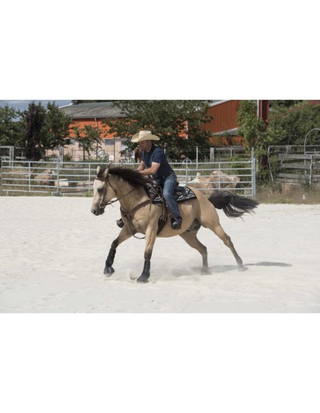 WESTRIDE -Sattel von Franck Perret, Arvada