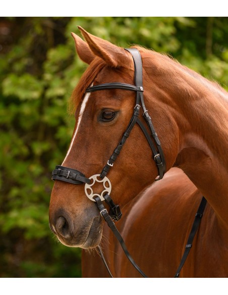 Brida « Waldhausen » X-Line sin bocado sensible