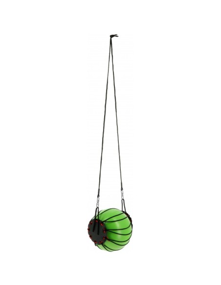 Pelota de caballo hipotónica