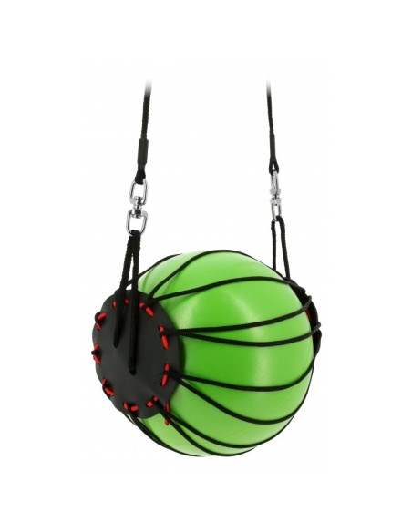Pelota de caballo hipotónica