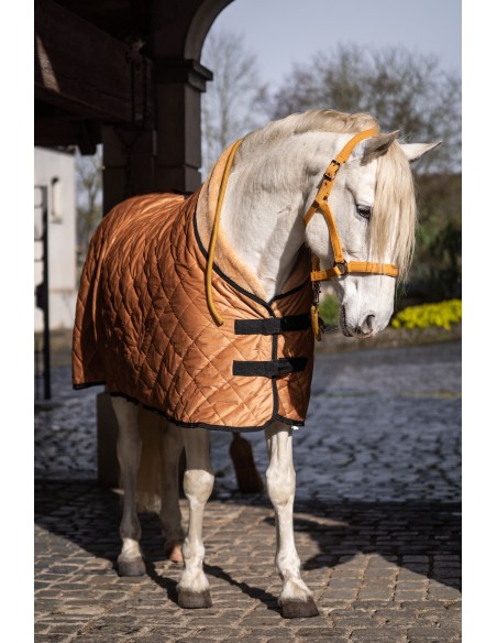 Portada de boxeo de Montalcino- Lauria Garrelli