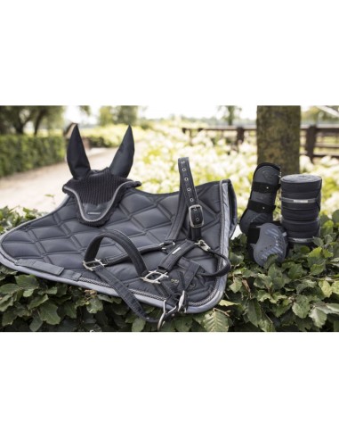 LAMI-CELL-Polo-Bänder – Aurora – 3,5 m