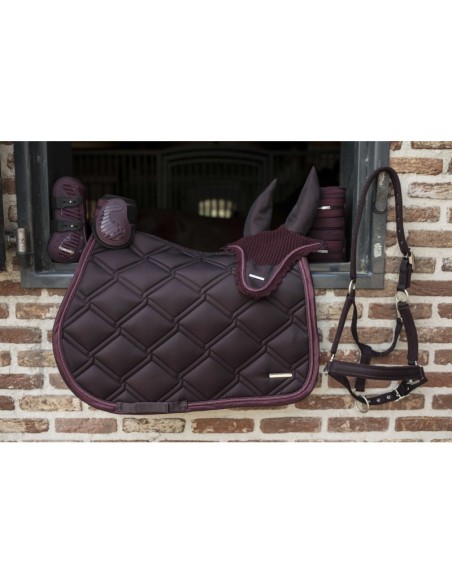 LAMI-CELL-Polo-Bänder – Aurora – 3,5 m