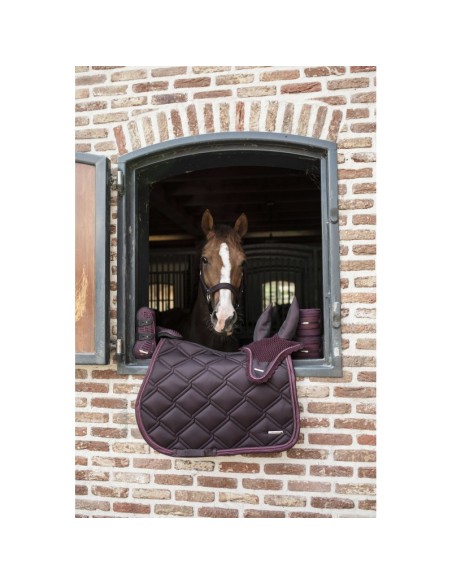 LAMI-CELL-Polo-Bänder – Aurora – 3,5 m