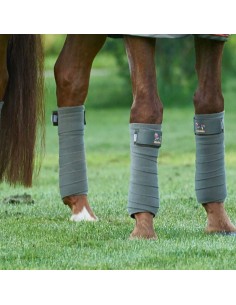 Bandes de Polo Aubenhausen Famoso – Soutien & Élégance | Esprit Équitation