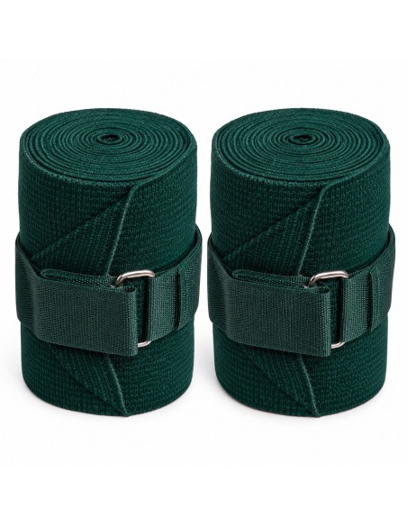 Bandes de travail élastiques cheval set de 2