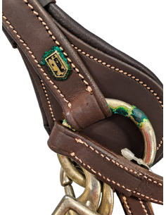 Collier de chasse Treadstone US Richtan 2