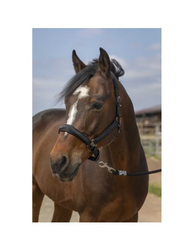 Cabezada EQUITHÈME - Strass