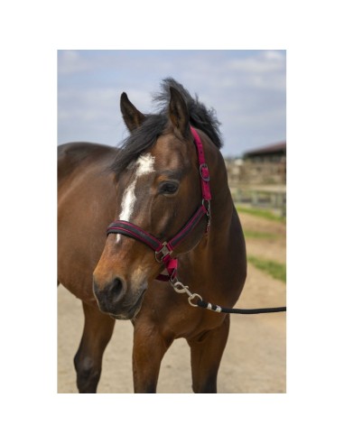 Cabezada EQUITHÈME - Strass