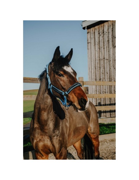 EQUITHÈME-Halfter – Strass