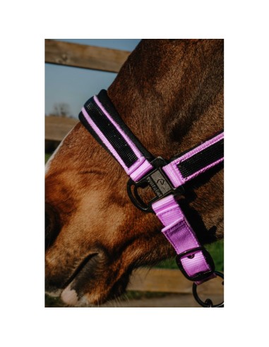 EQUITHÈME-Halfter – Strass