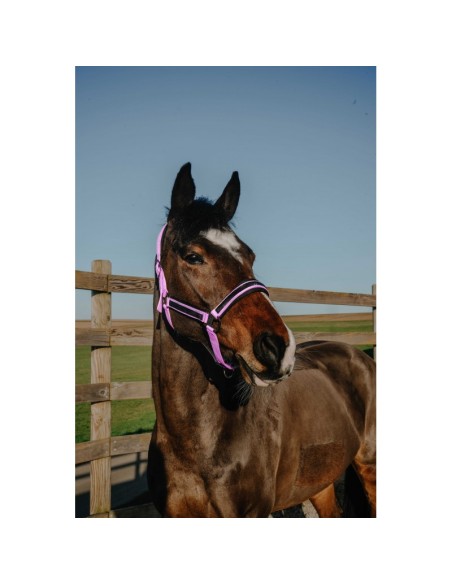Cabezada EQUITHÈME - Strass