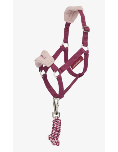 Licol et longe Vogue Hobby Horse Blossom LeMieux