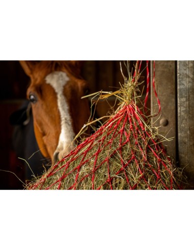 HIPPOTONIC-Heunetz – Zari