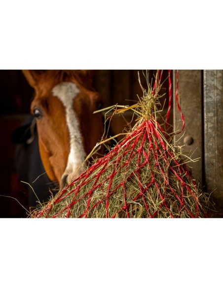Red para heno HIPPOTONIC - Zari