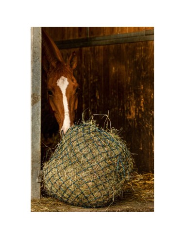 Red para heno HIPPOTONIC - Zari