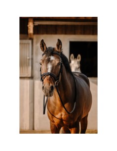 ERIC THOMAS-Trensenzaum – Work