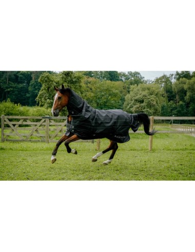 Chemise imperméable TYREX EQUITHÈME - Lumin 600D