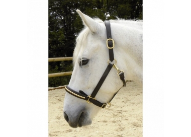 Licol Clincher cuir Protanner 
