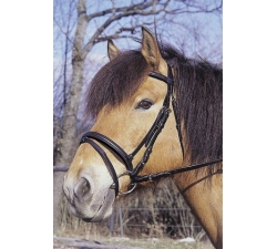 bridon-club-qualite-standard