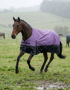 Couverture cheval highneck Stars