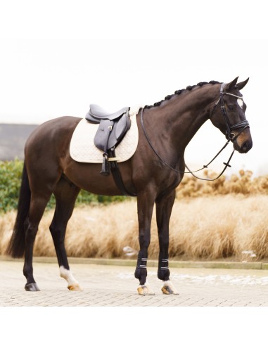 Saddlepad IRHSimone GP Imperial Riding
