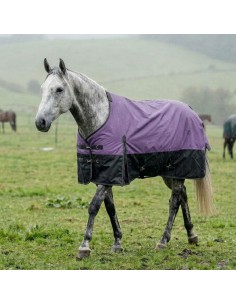 Couverture cheval highneck Stars