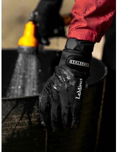 Gants imperméables LeMieux x Sealskinz 2