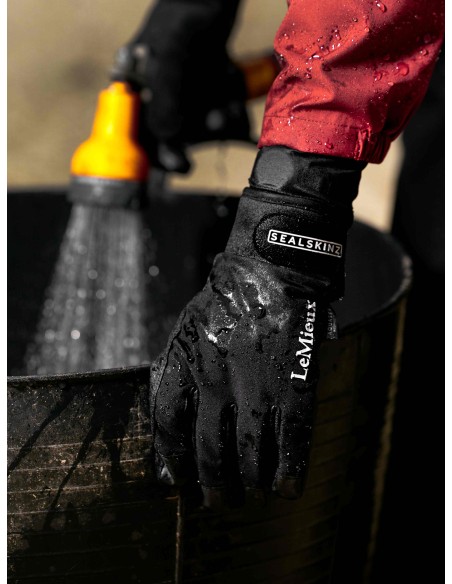 Wasserdichte Handschuhe „ LeMieux “ von Sealskinz