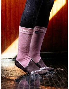 Chaussettes imperméables LeMieux x Sealskinz Dusty Pink 2