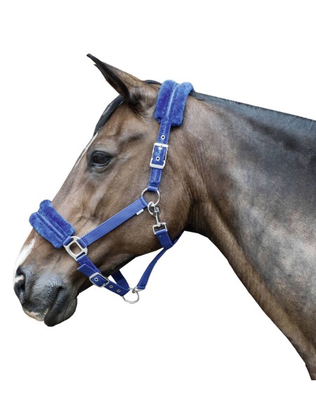 Licol cheval Glitter rembourré en polaire
