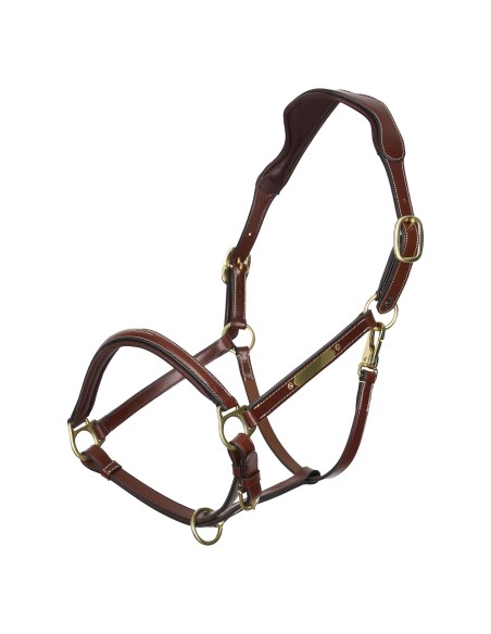 Headcollar HVPLegacy HV Polo
