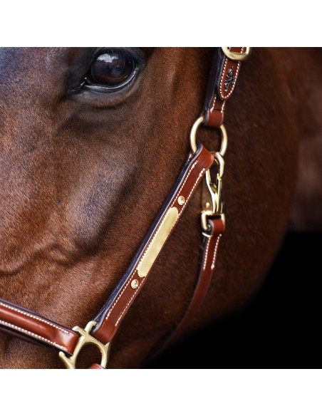 Headcollar HVPLegacy HV Polo