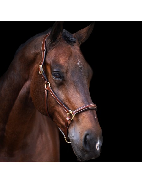 Headcollar HVPLegacy HV Polo