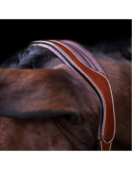 Cabezada HVPLegacy HV Polo