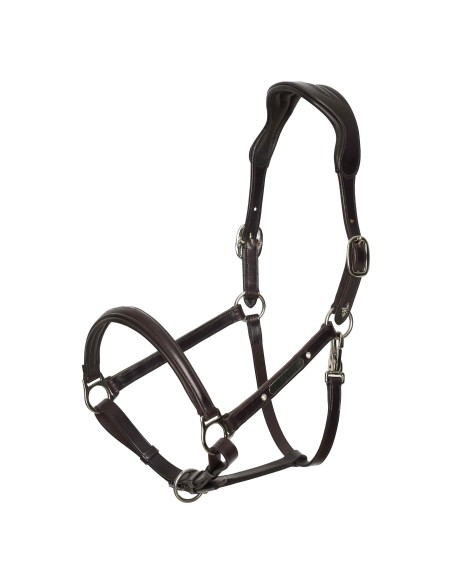 Headcollar HVPLegacy HV Polo