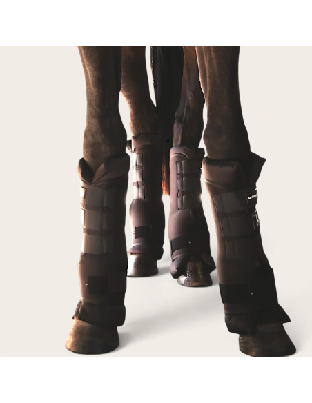 Stable boots TdeT