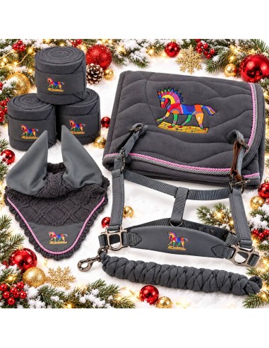 Aubenhausen -Pferde-Geschenkpaket – Elegantes Geschenk für Reiter | Esprit Équitation