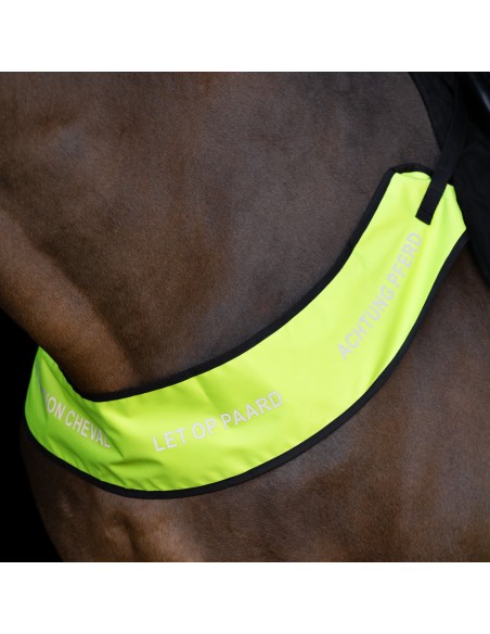 Collar de caza IRHReflective Imperial Riding