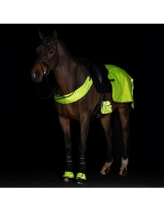 IRHReflective-Jagdhalsband Imperial Riding 2