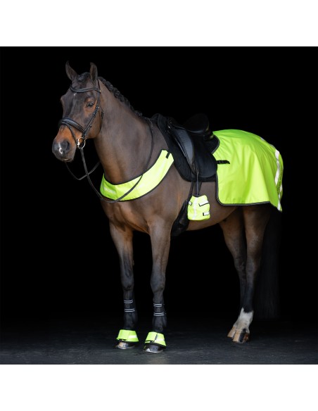 IRHReflective-Jagdhalsband Imperial Riding