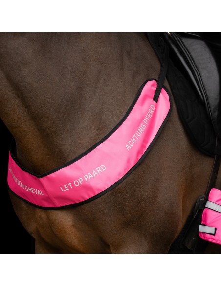 IRHReflective-Jagdhalsband Imperial Riding