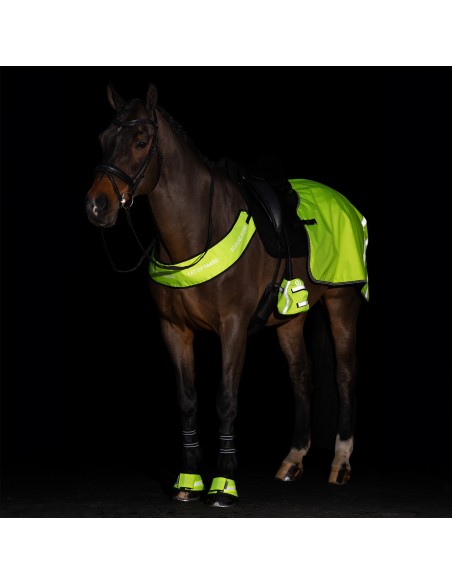 Calentadores de dedos para estribos IRHReflective, juego de 2 unidades Imperial Riding