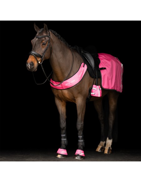 Faja lumbar IRHReflective Imperial Riding