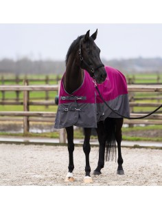 IRHLimited Summer Paddockdecke mit Halskante Imperial Riding